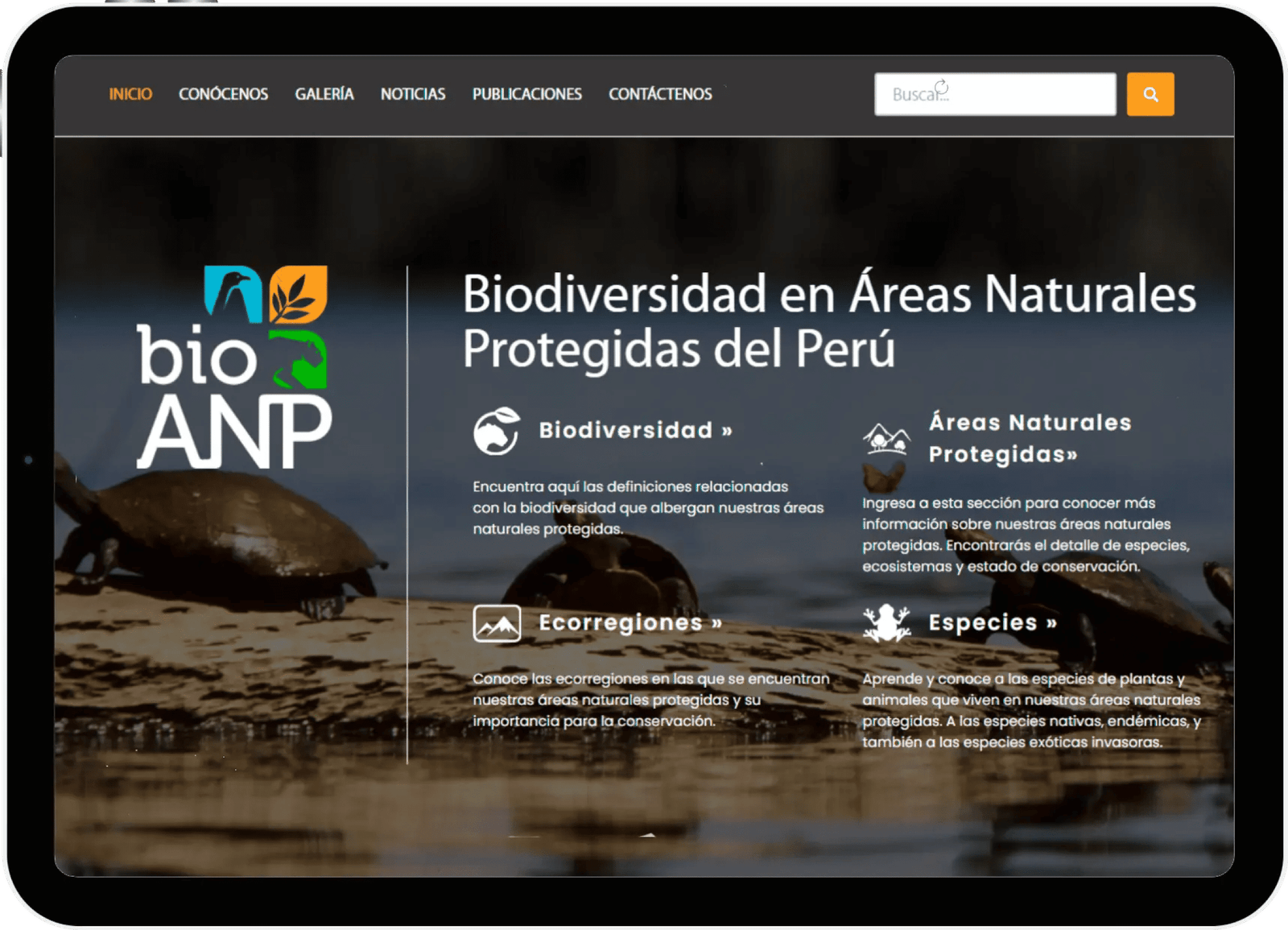 /images/portfolio/portal-biodiversidad/portal-biodiversidad-desktop-responsive.png